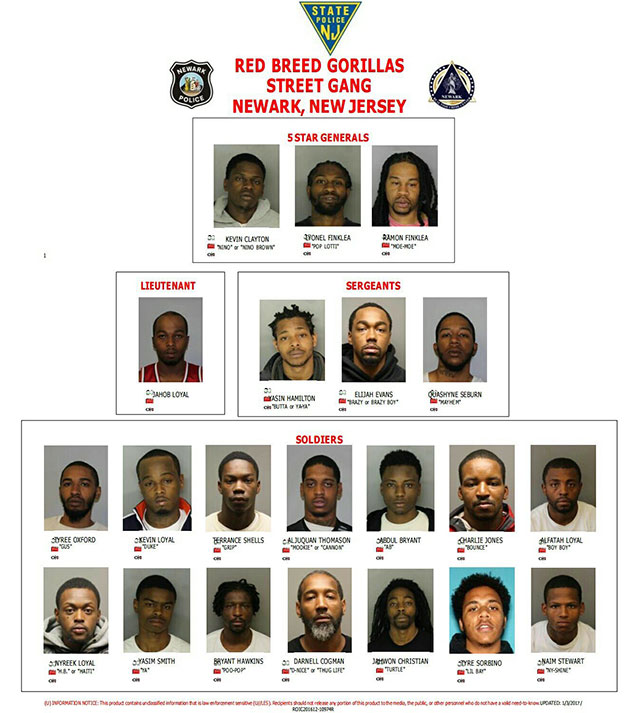 Poster of Red Breed Gorillas Street Gang